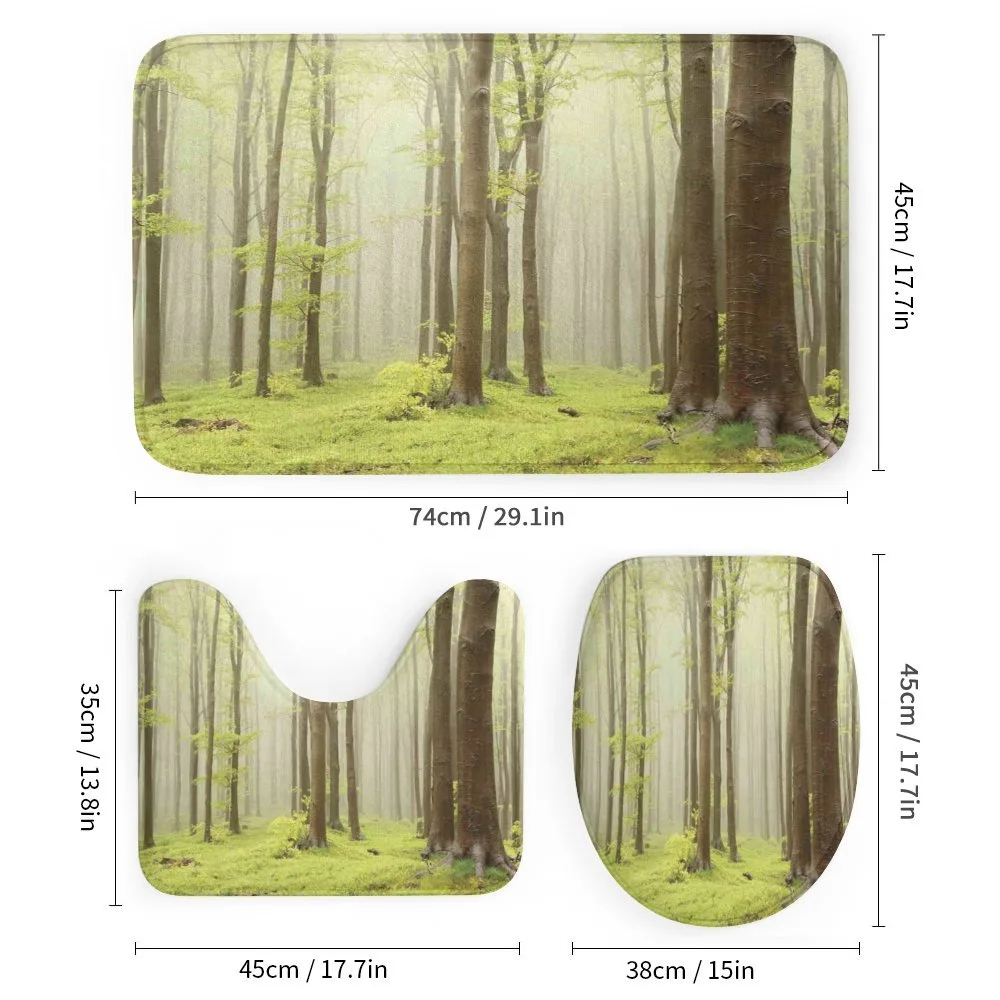 Misty Beech Forest Photo — Detail 1