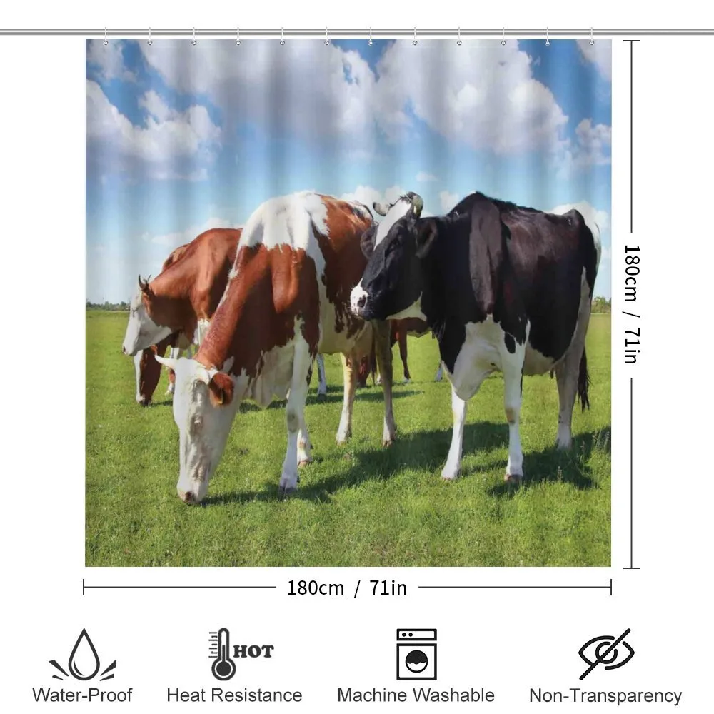 Cows Grazing on Pasture — Detail 2