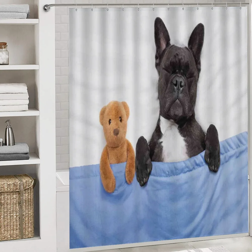 French Bulldog with Bear — Detail 4