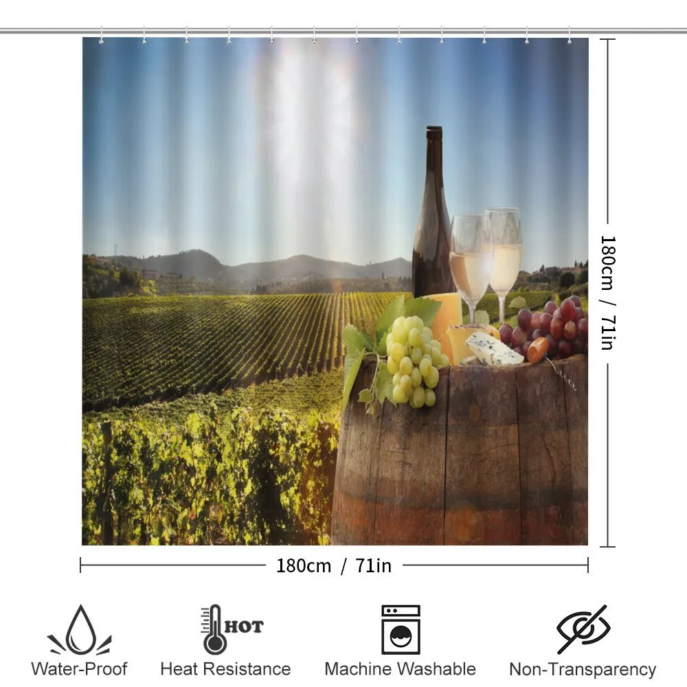 Famous Chianti Vineyard — Detail 2
