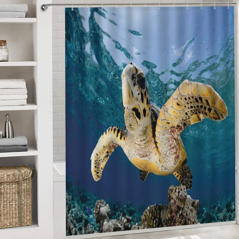 Hawksbill Sea Turtle — Detail 4