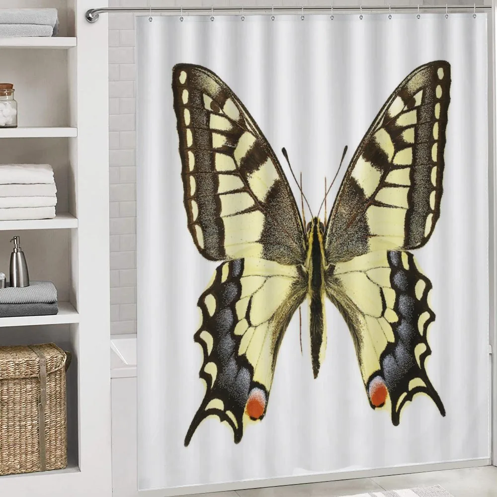 Old Papilio — Detail 4