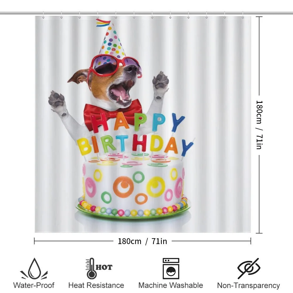 Surprise Party Dog — Detail 2