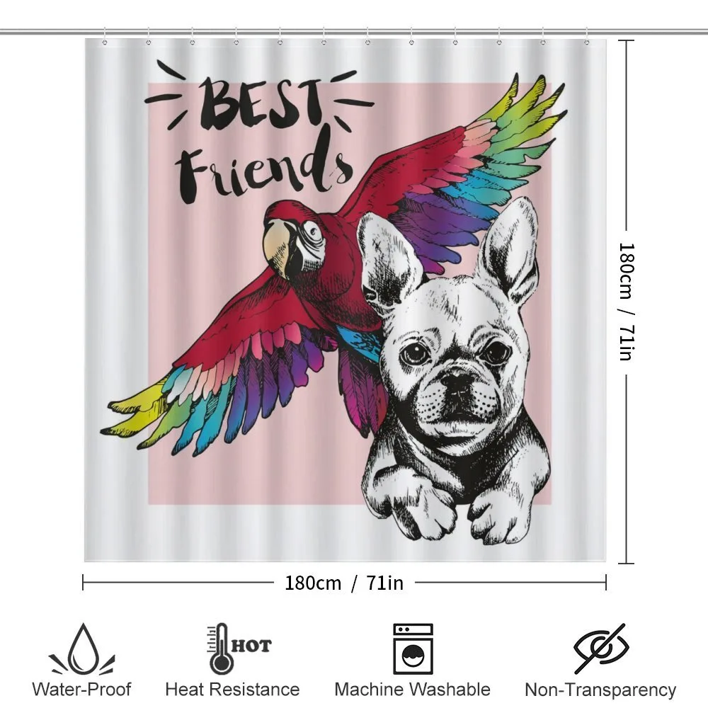 Bulldog Parrot Friends — Detail 2