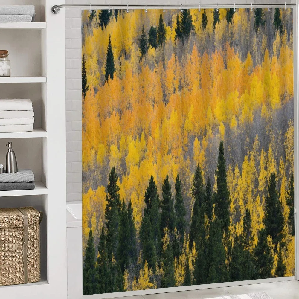 Colorful Aspen Trees USA — Detail 4