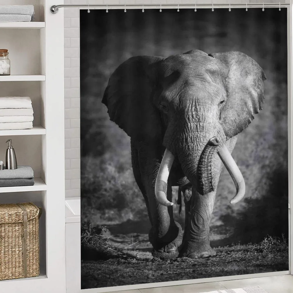 Exotic Wildlife Elephant — Detail 4