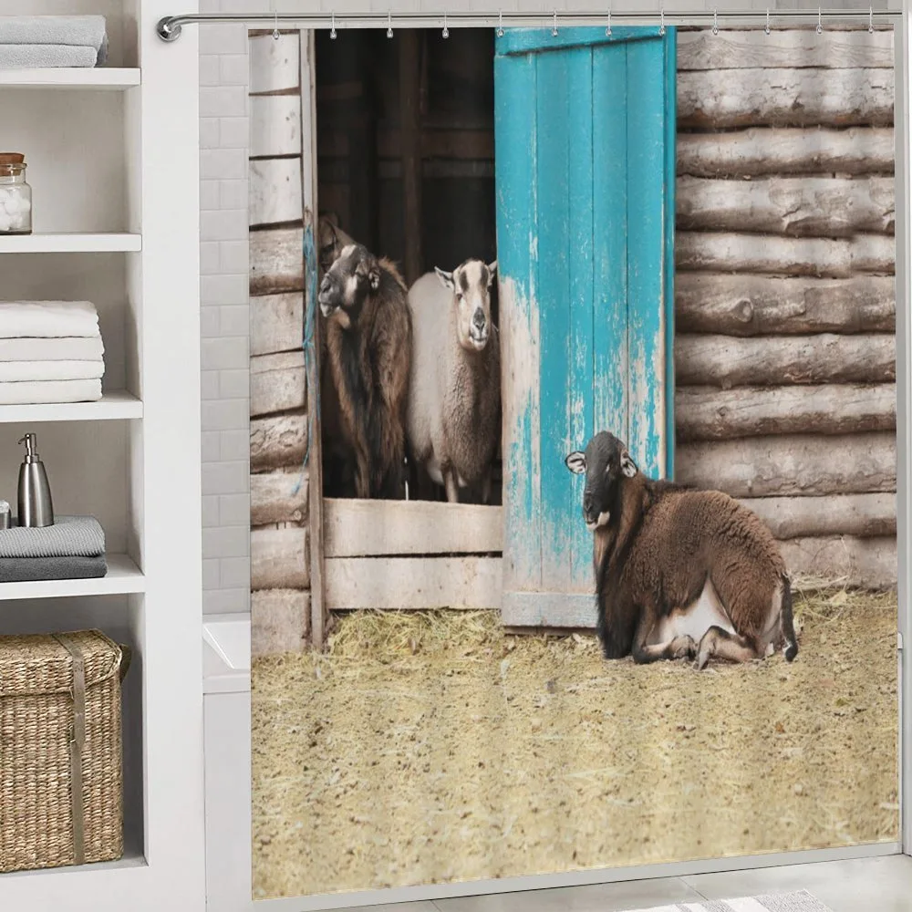 Sheep in Cottage — Detail 4