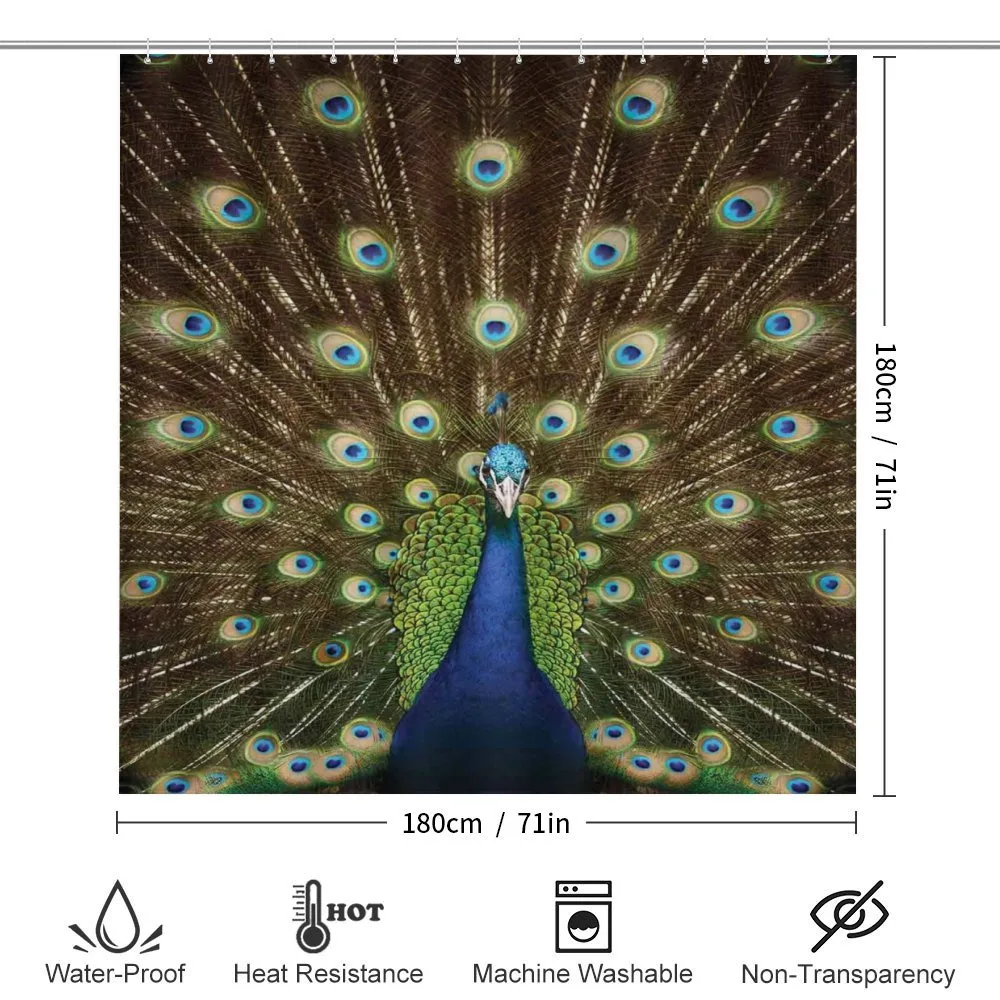 Peacock with Feathers — Detail 2