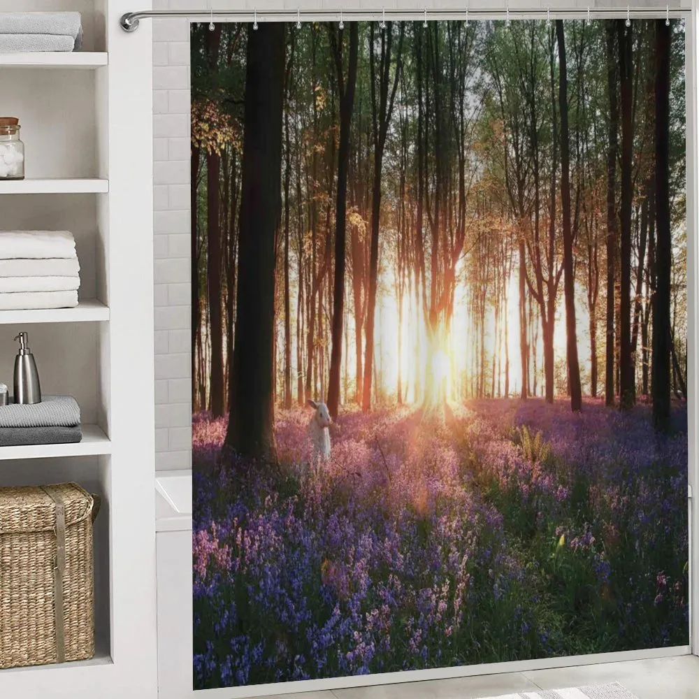 Sunrise Woods in Spring — Detail 4