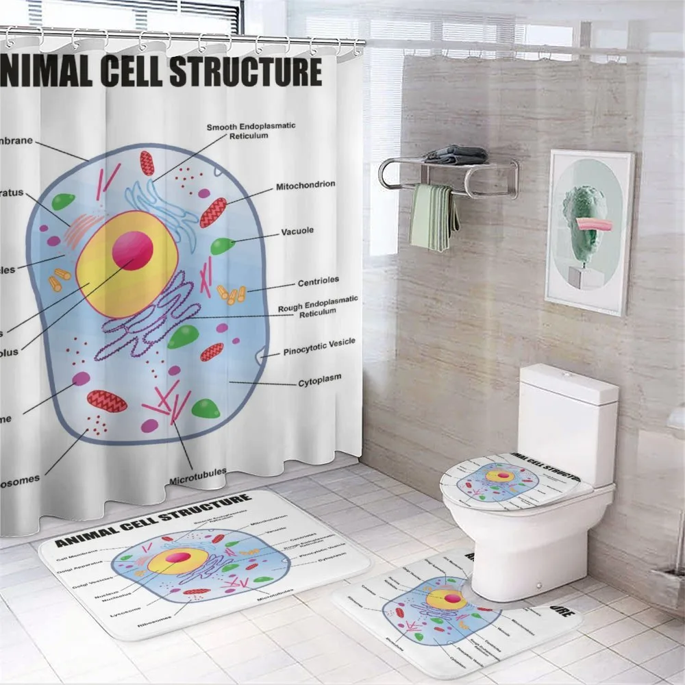 Animal Cell Study — Your design