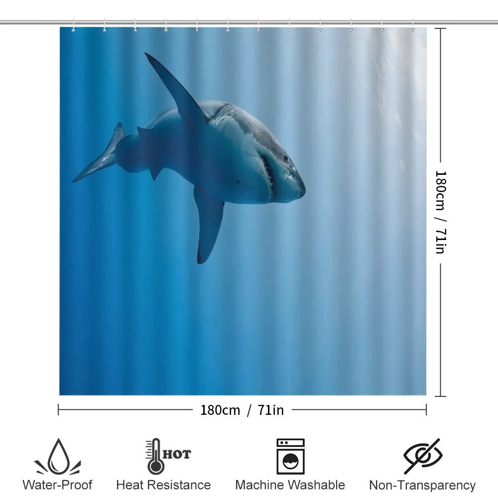 Fish in Ocean Swimming — Detail 2