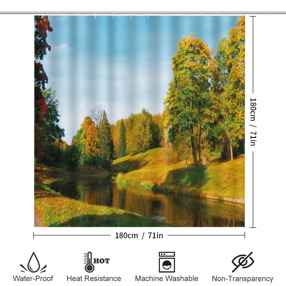 Natural Forest Park — Detail 2