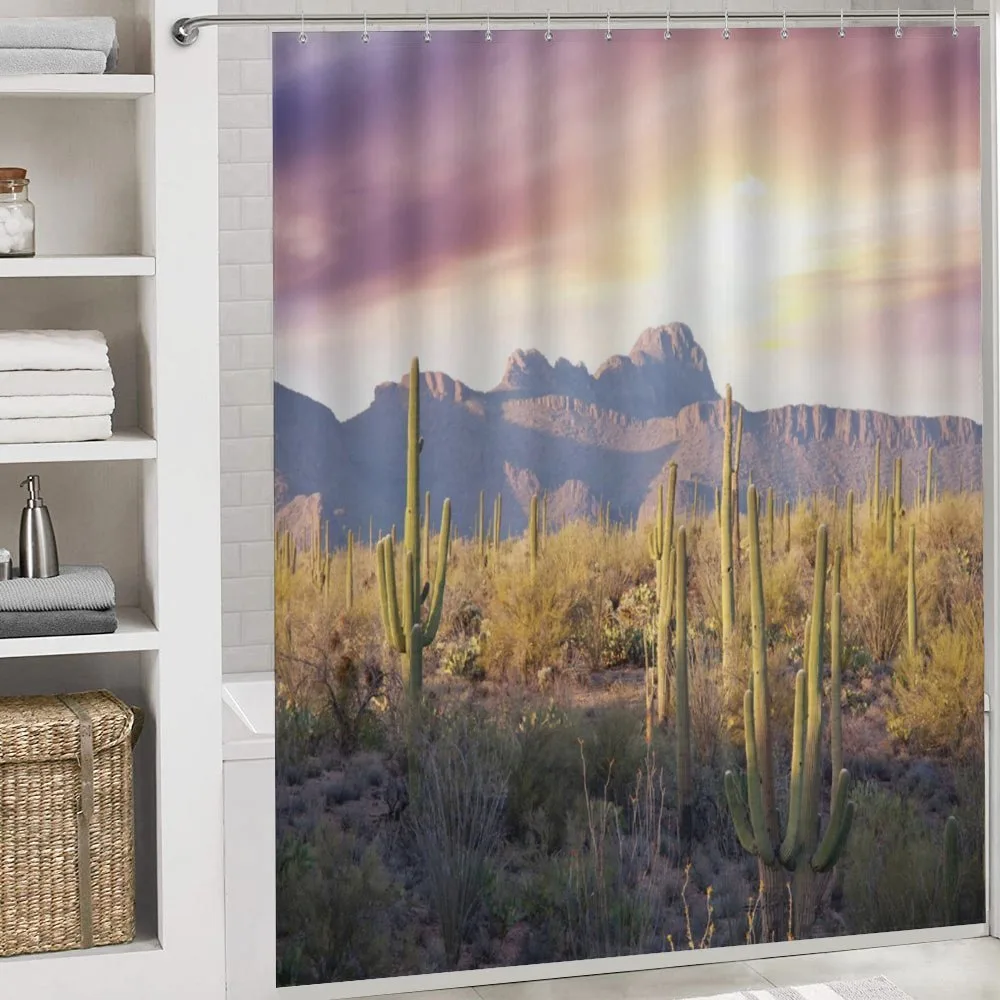 Saguaro Cactus and Mountain — Detail 4
