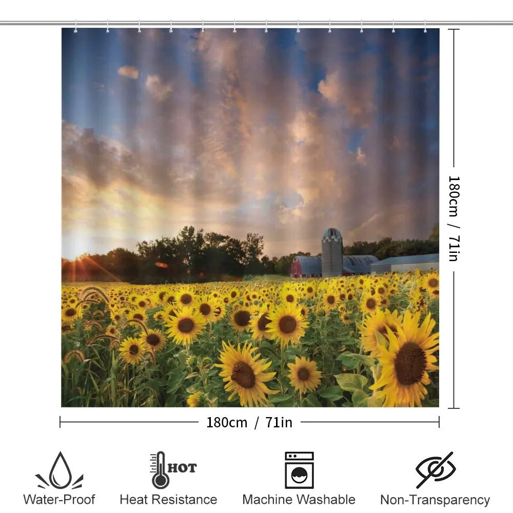 Sunflower Field Sky — Detail 2