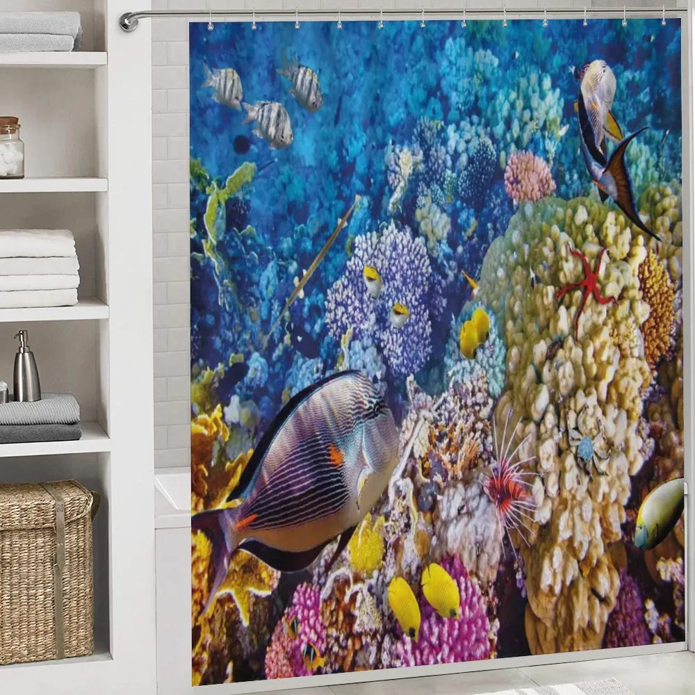 Ocean Beauties — Detail 4
