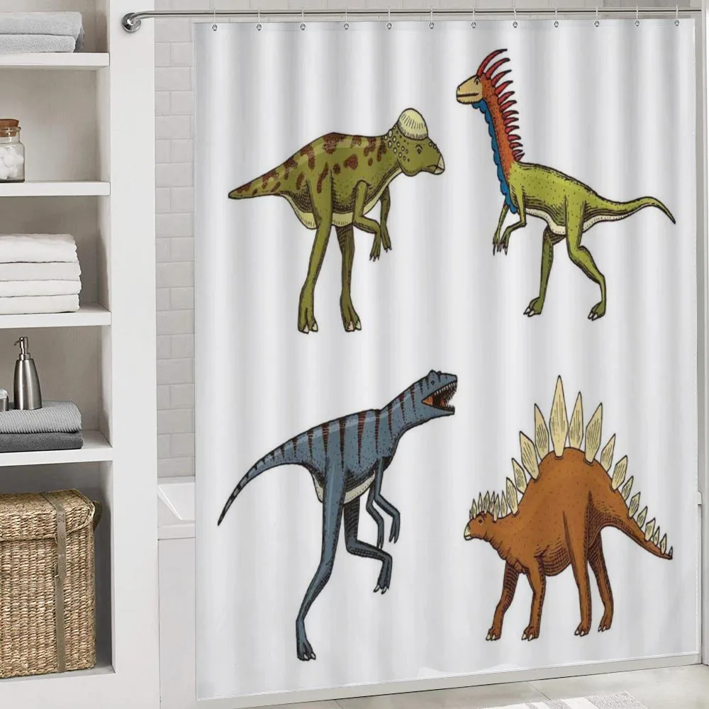 Reptile Fossils Animals — Detail 4