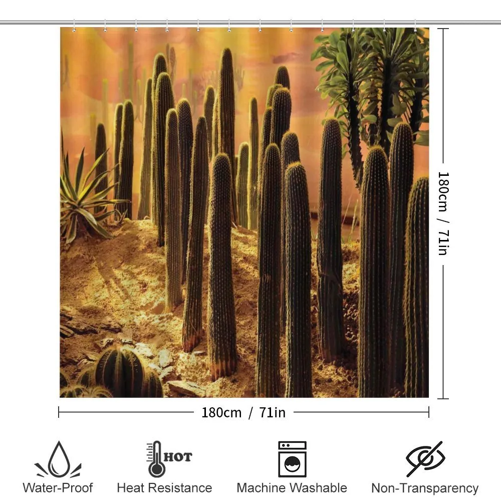 Sunset in Wild Desert — Detail 2