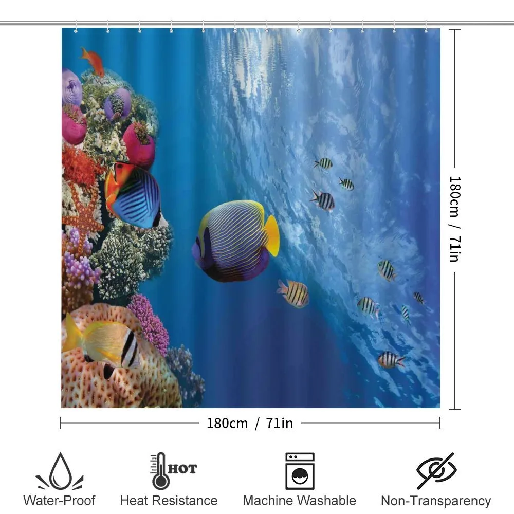 Underwater Fish Sea — Detail 2
