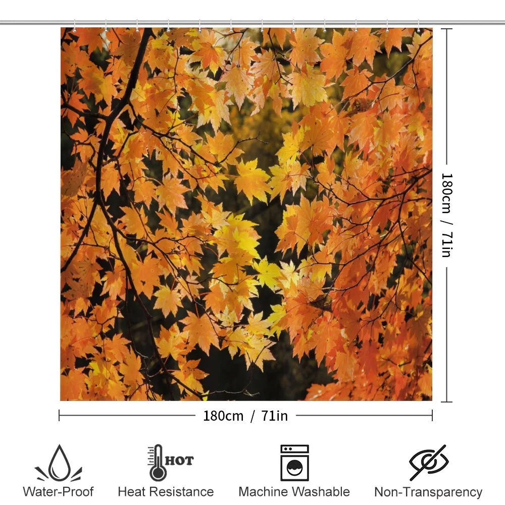Vivid Autumn Maple Leaves — Detail 2