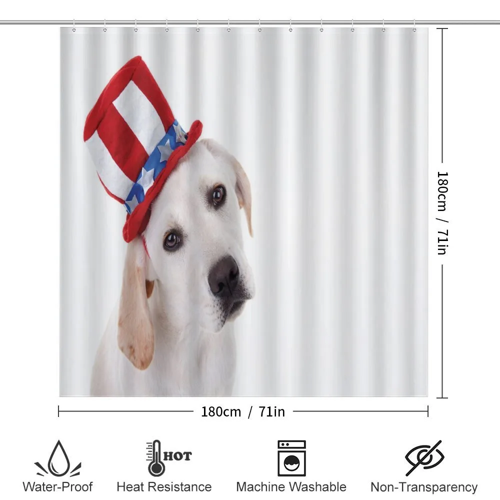 Dog with Hat — Detail 2