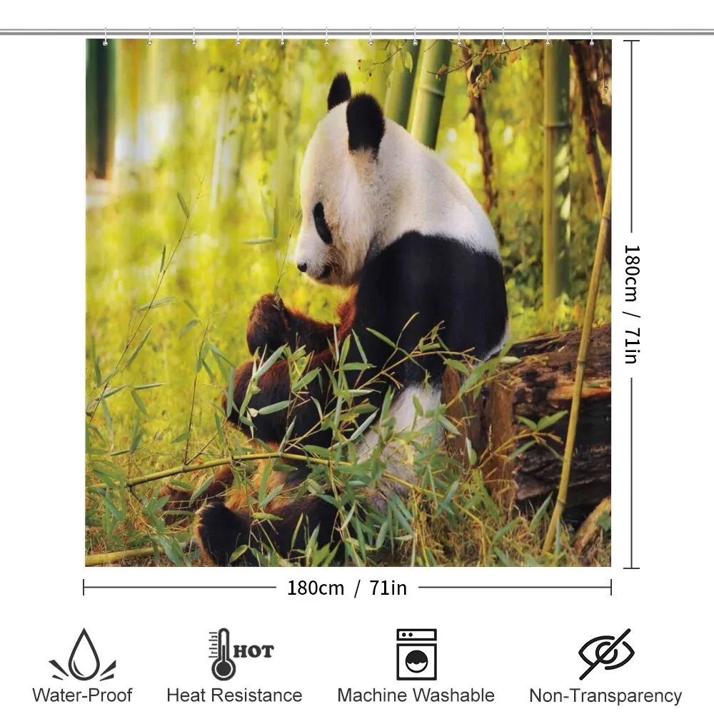 Panda Sitting in Forest — Detail 2