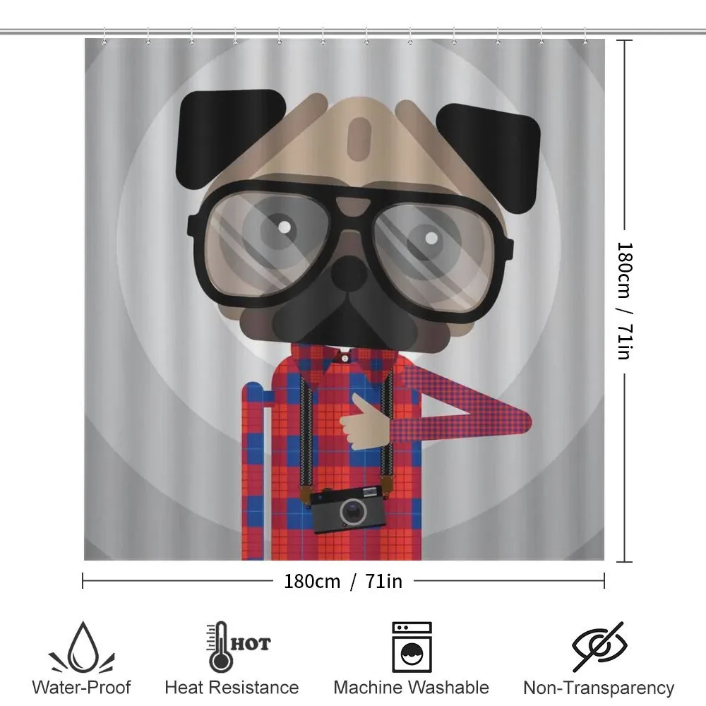 Photographer Pug Dog — Detail 2