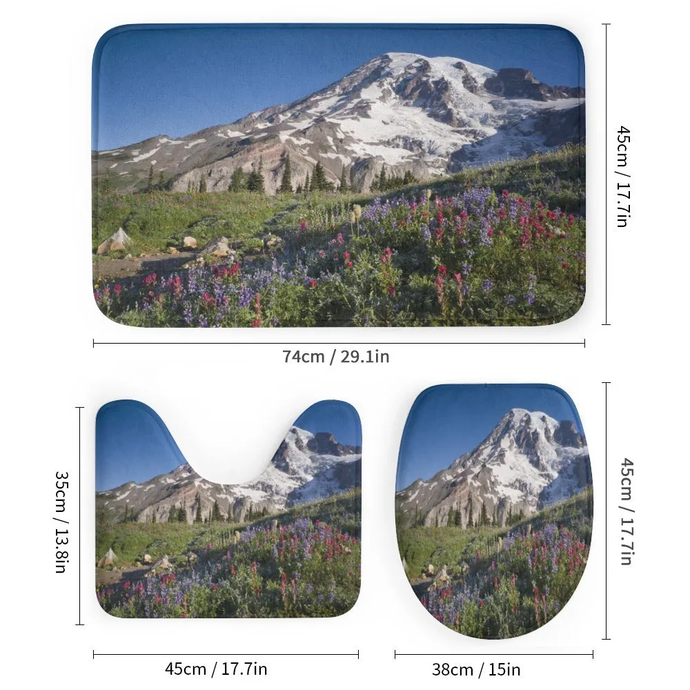Spring Mt. Rainier Photo — Detail 1