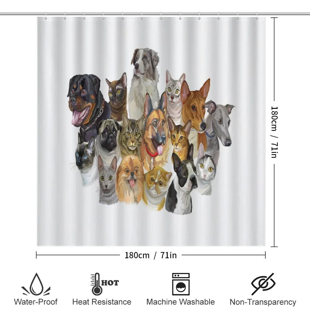 Domestic Animals — Detail 2