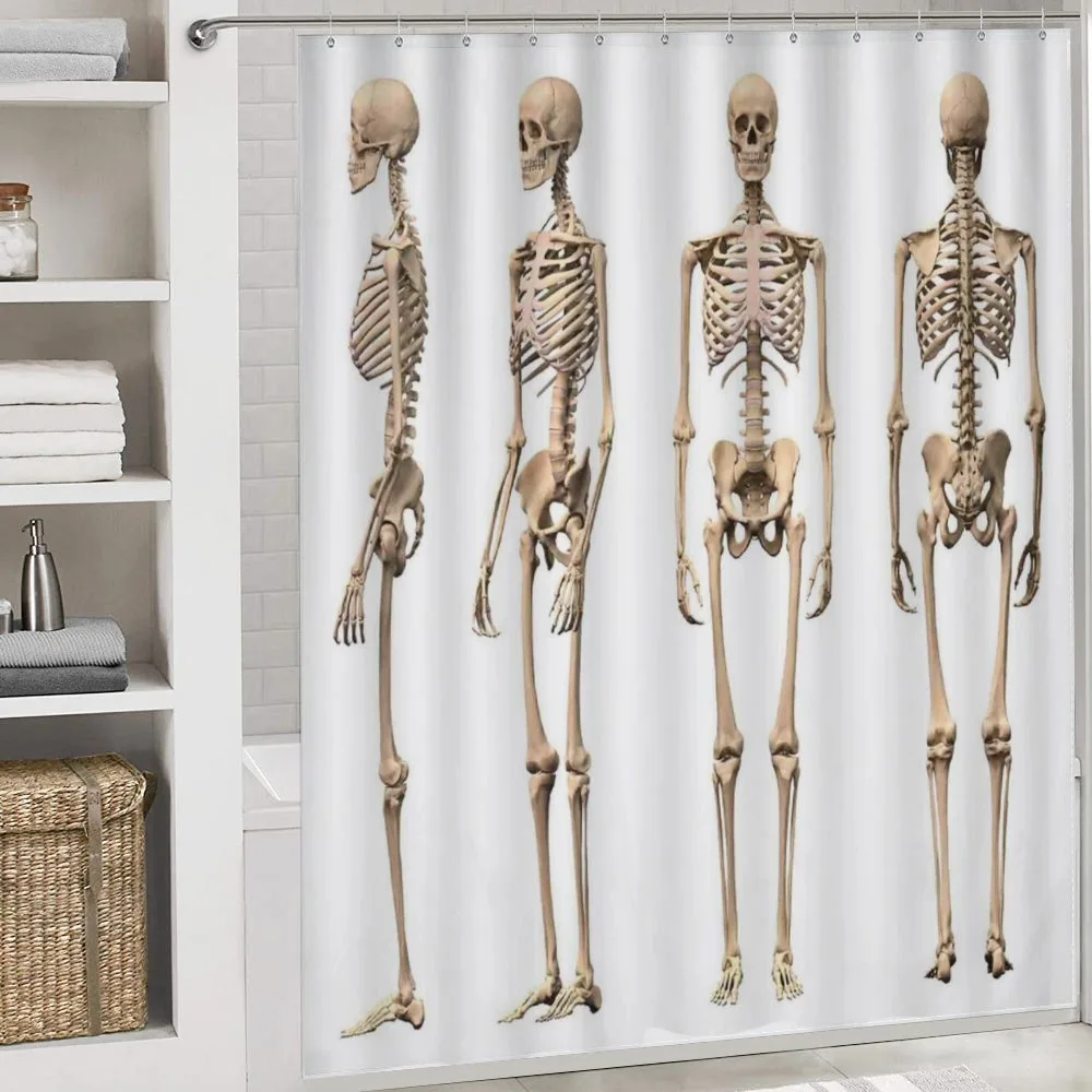Medical Skeleton — Detail 4