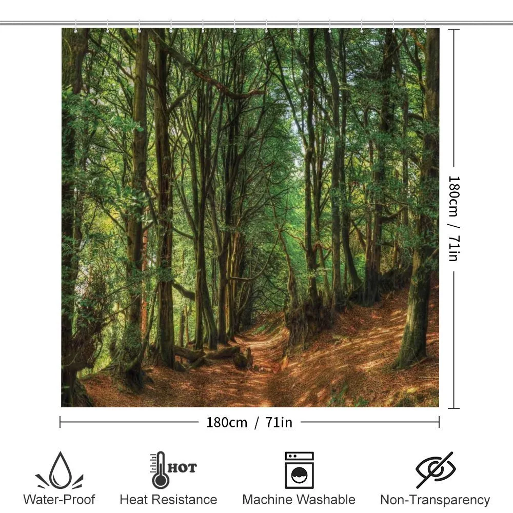 Woodland Pathway Scene — Detail 2