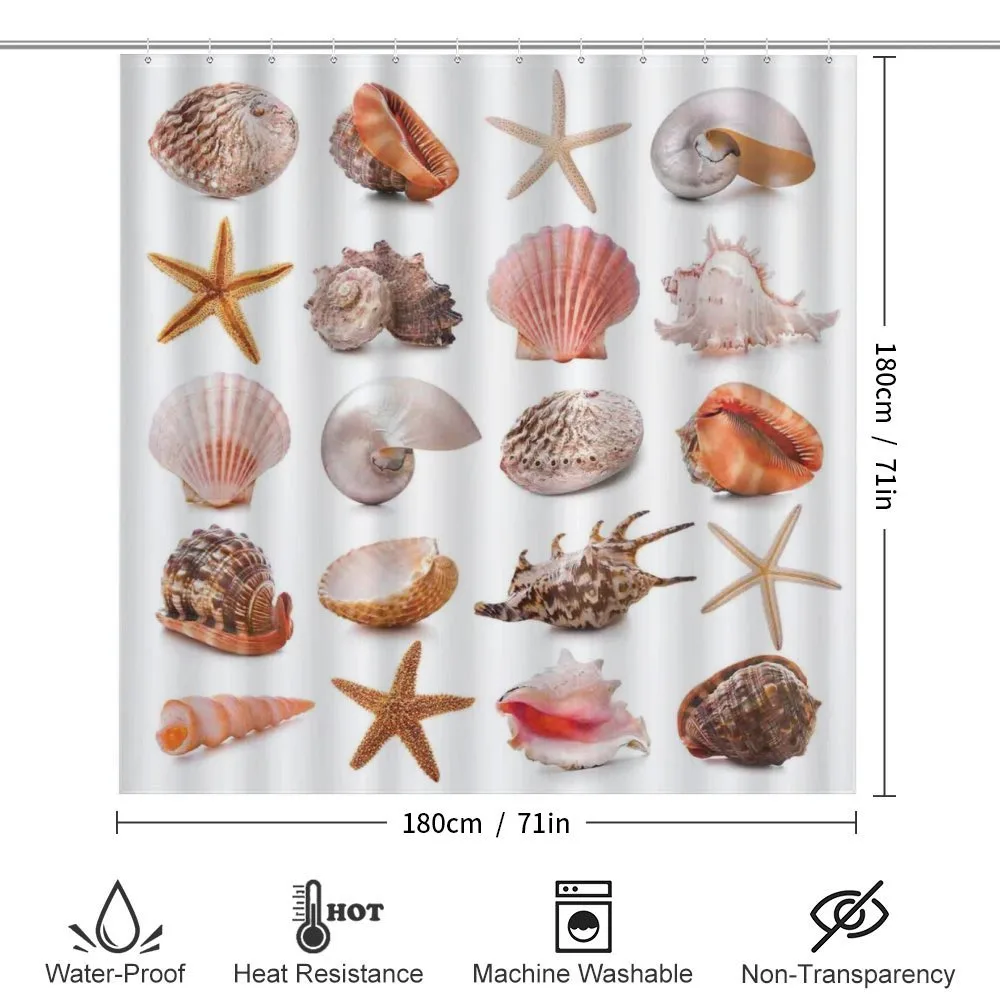 Mollusk Summer Holiday — Detail 2