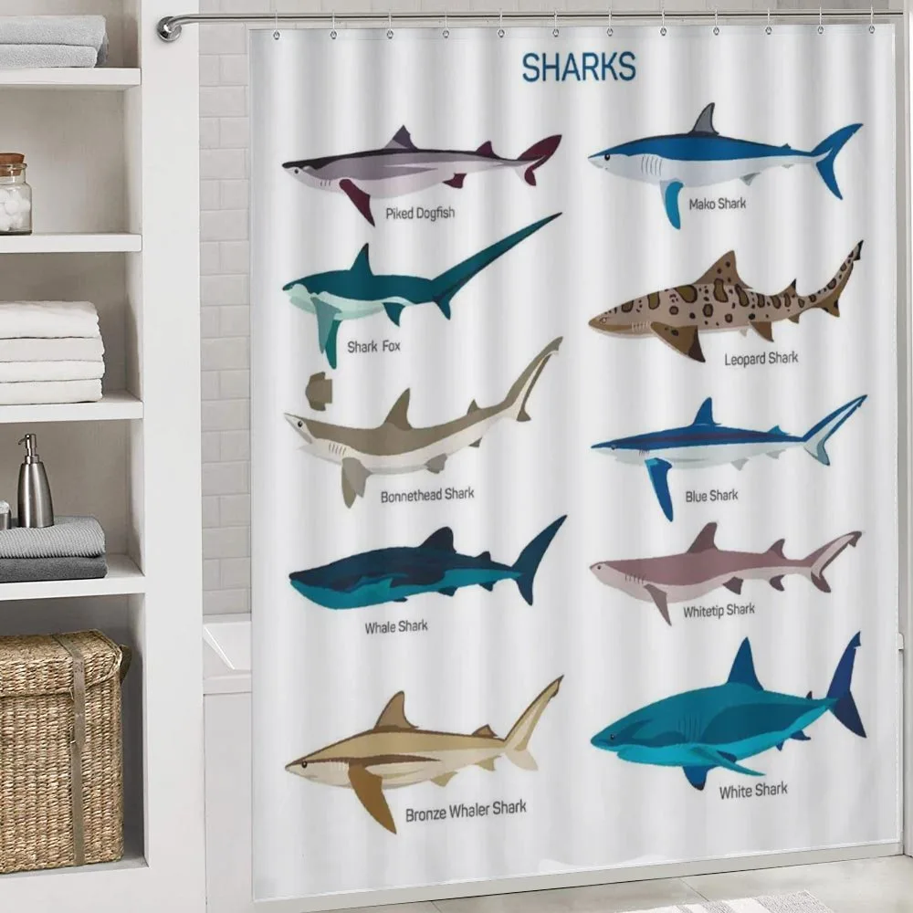 Cartoon Shark Types Wild — Detail 4