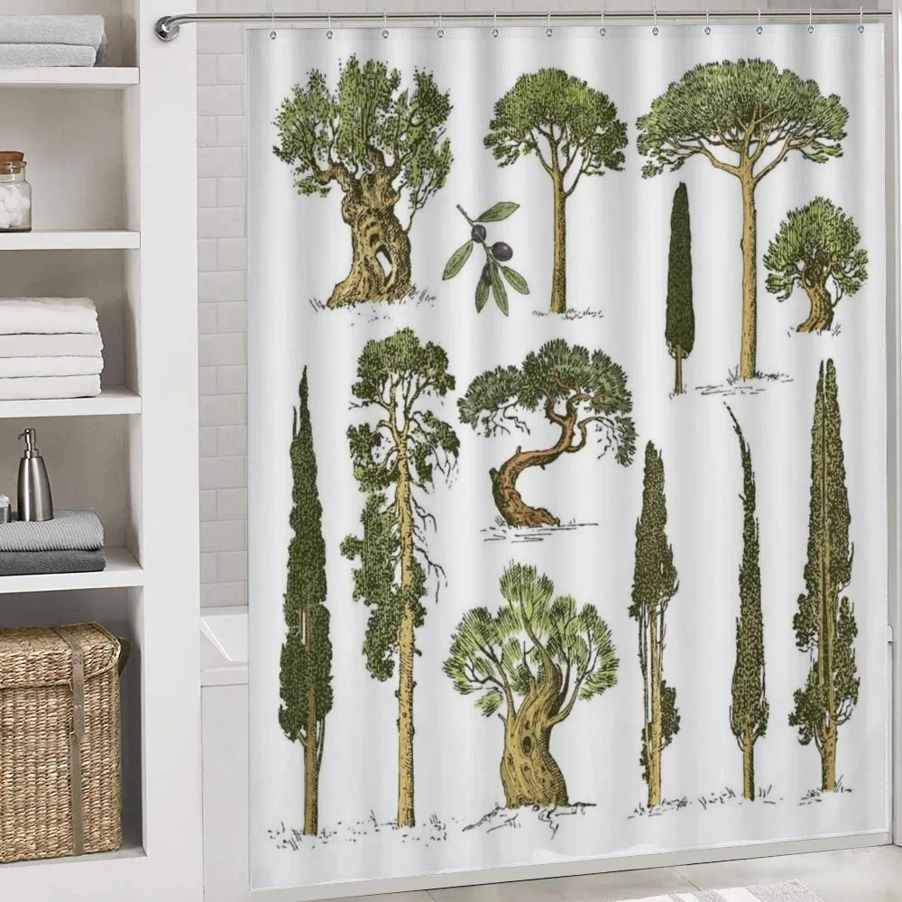 Forest Growth Ecology — Detail 4