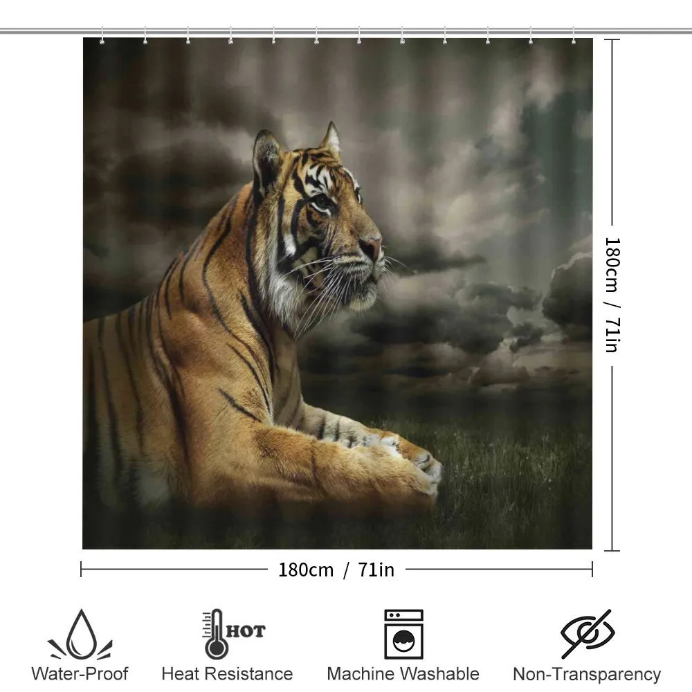 Jungle African Cat Clouds — Detail 2