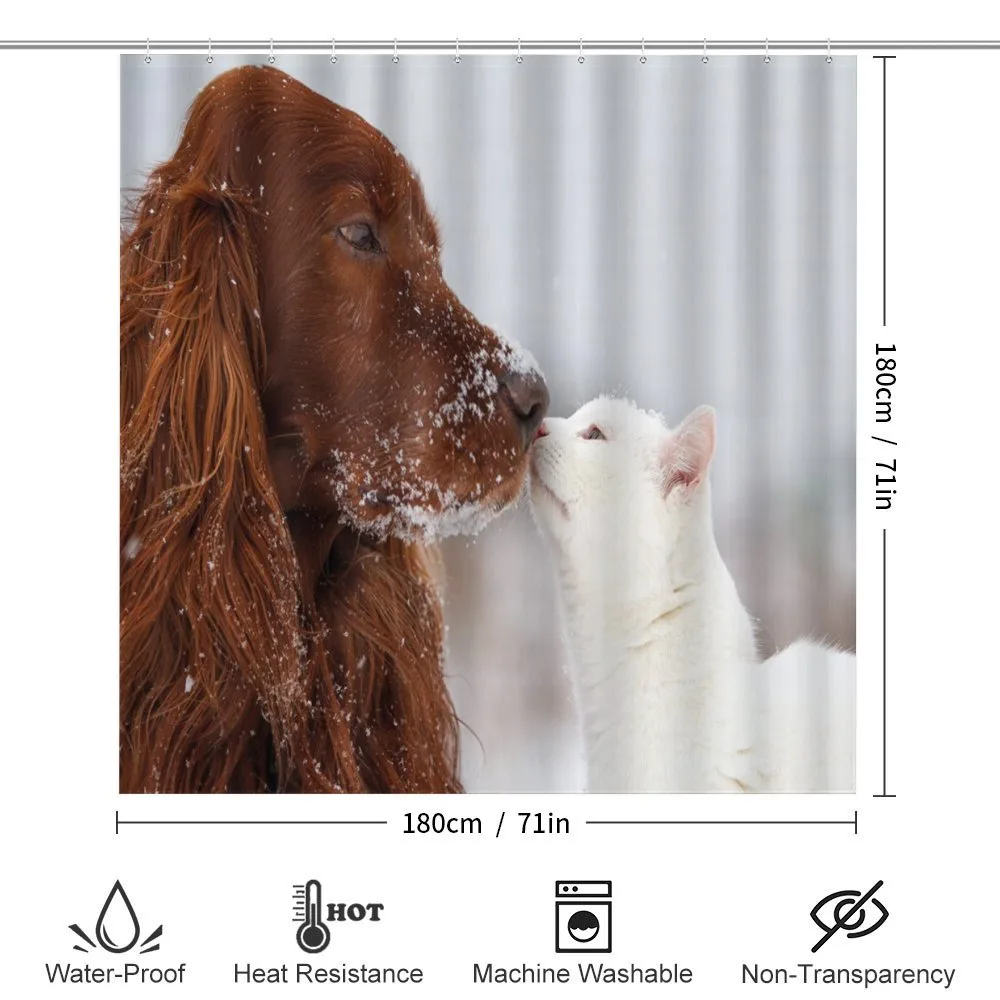 Irish Setter Cat — Detail 2