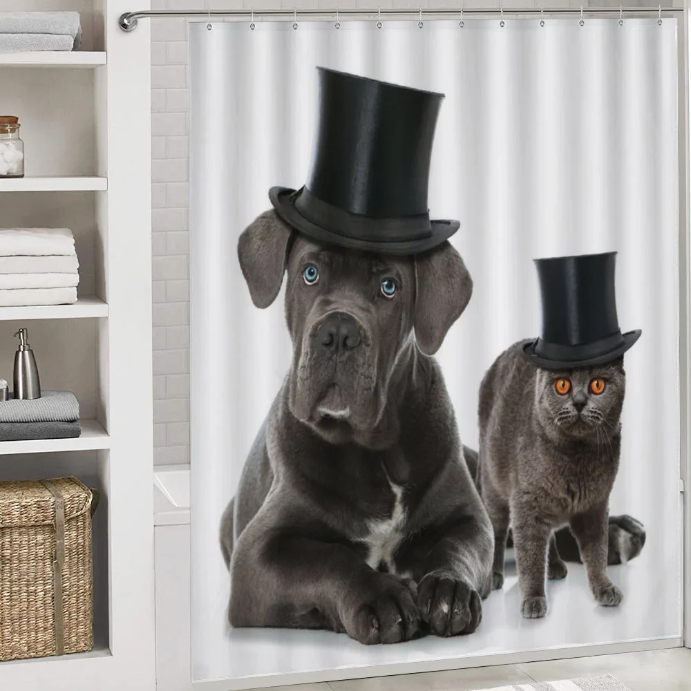 Pets in Magicians Hat — Detail 4