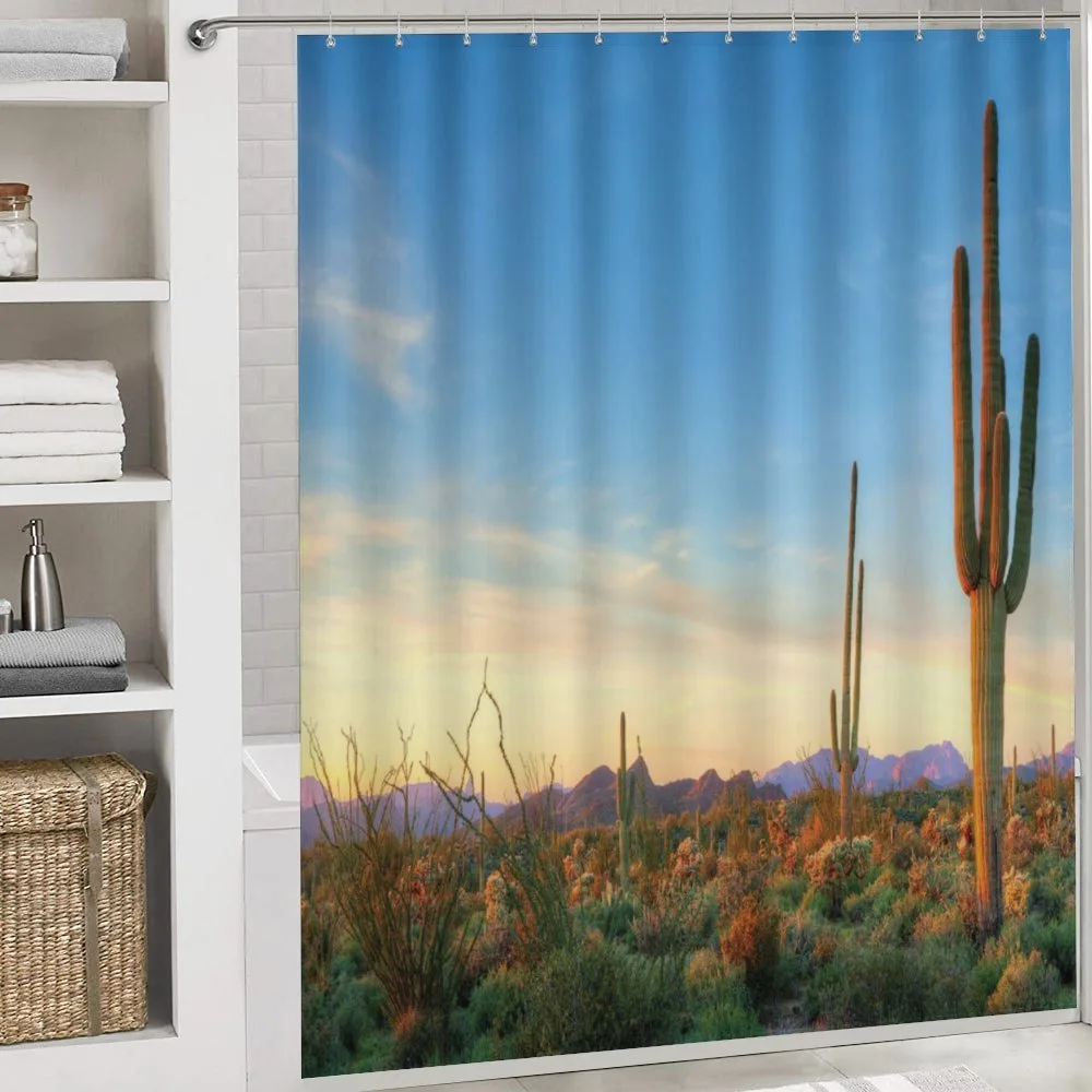 Sonoran Desert Sunset — Detail 4