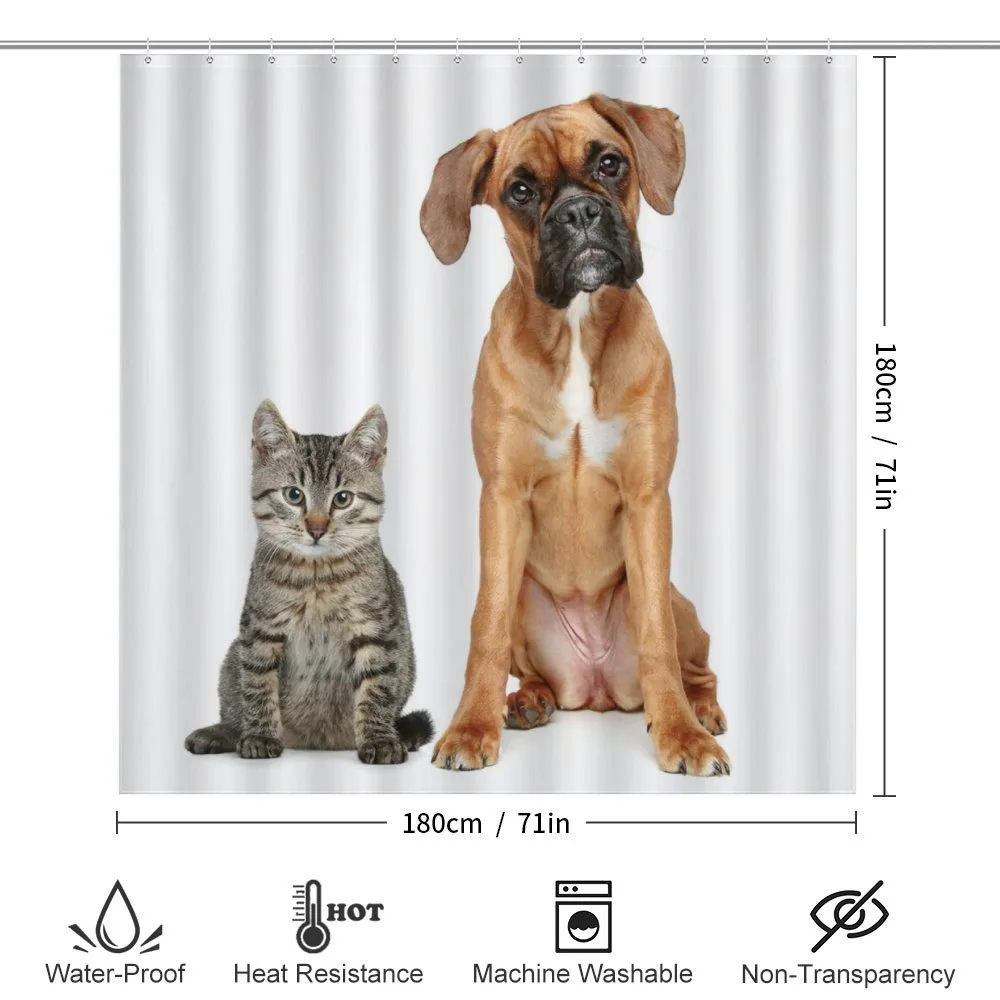 Cat Dog Animal Friends — Detail 2