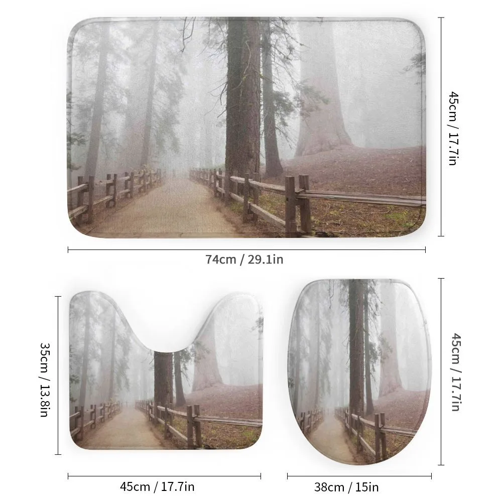 Forest in Foggy Morning — Detail 1