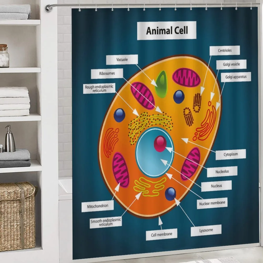 Science at School — Detail 4