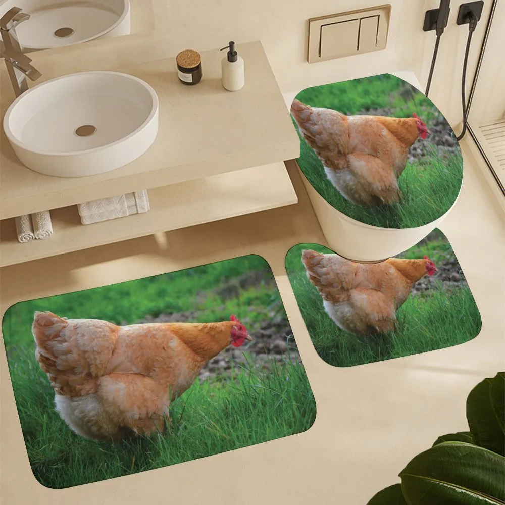 Chicken on Grass Farm Photo — Detail 5
