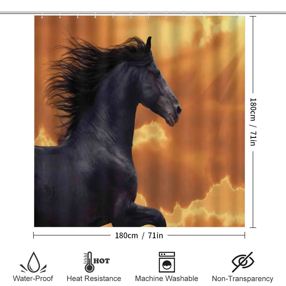 Galloping Friesian Horse — Detail 2