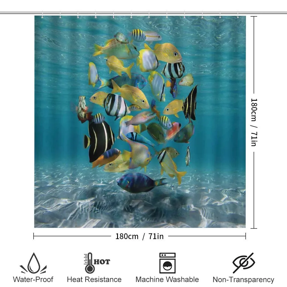 Shoal of Fish Underwater — Detail 2