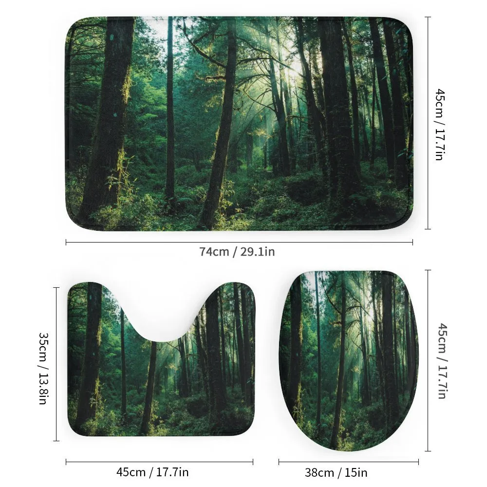 Sunset in Woods Trees — Detail 1
