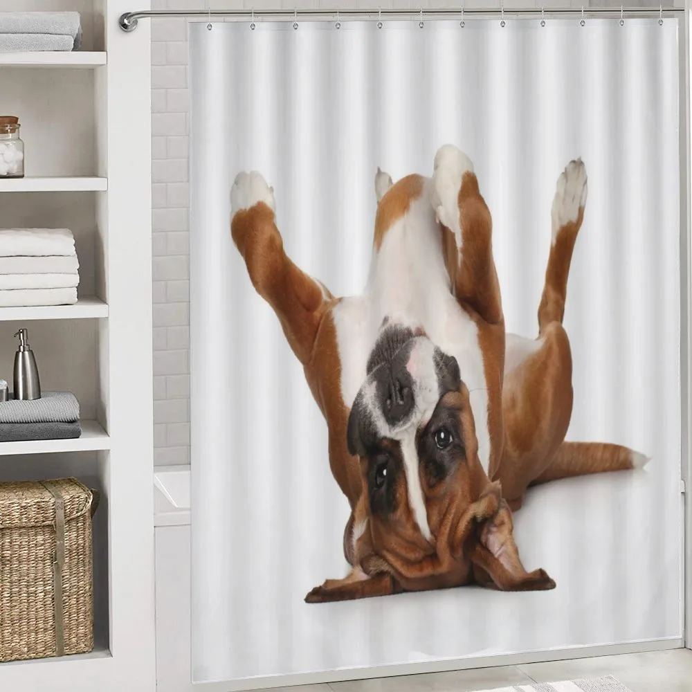 Funny Playful Puppy Image — Detail 4