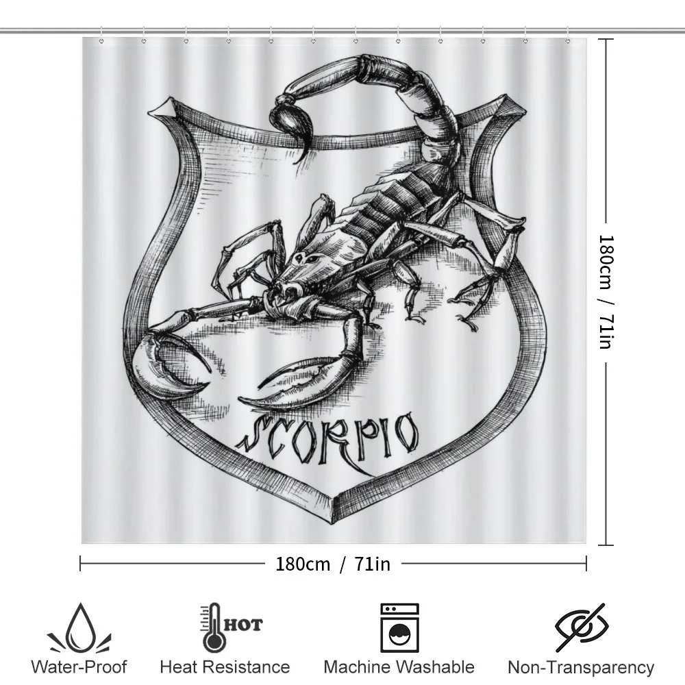 Black and White Scorpio — Detail 2