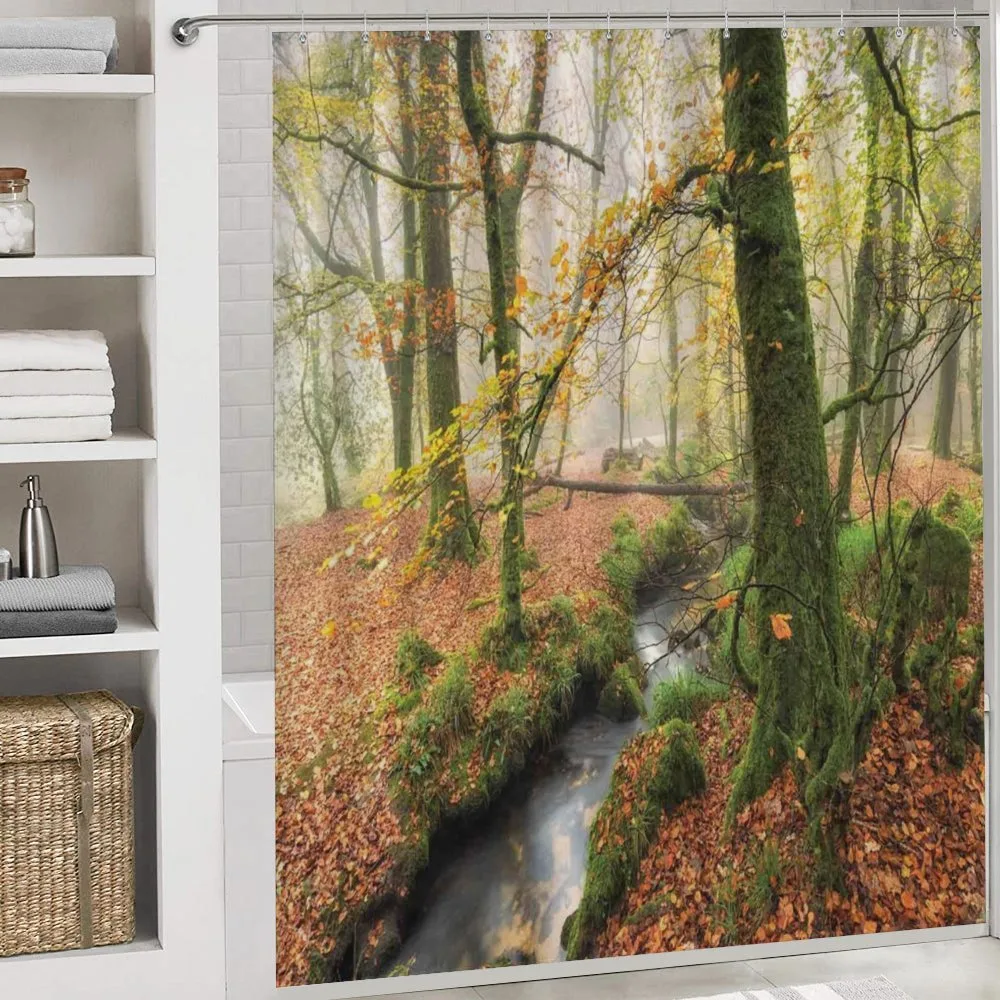 Misty Woods Cornwall — Detail 4
