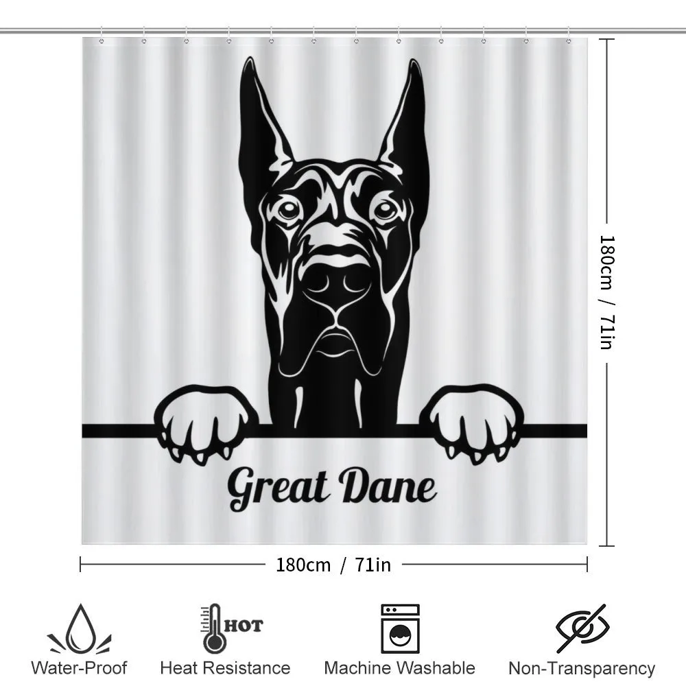 Peeking Big Breed Dog — Detail 2