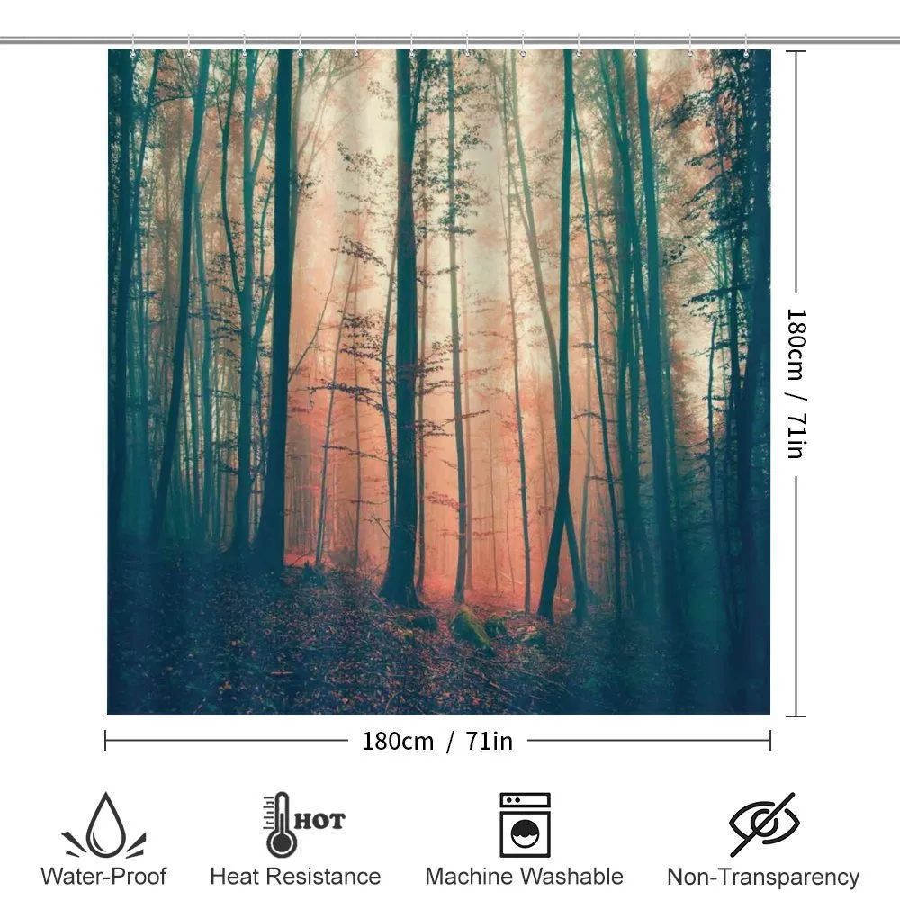 Autumn Forest Woodland — Detail 2