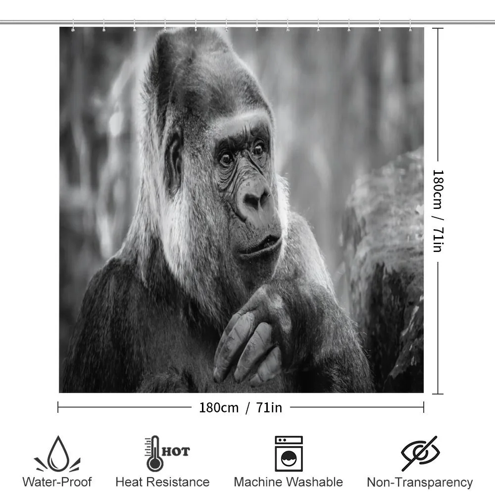 Close up Shot Ape Animal — Detail 2